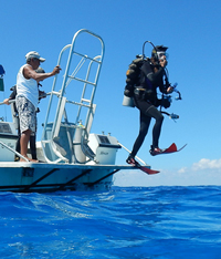 2 tank dives in Cozumel