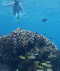 El Cielo Snorkel Tour