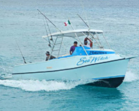 Seawitch Snorkel Boat